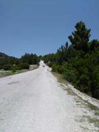 Selendi Çamlıca Köyü Resimleri 8