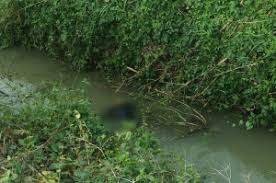 Süleymanpaşa Banarlı Köyü Resimleri 1