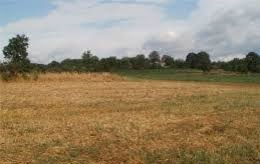 Süleymanpaşa Banarlı Köyü Resimleri 7