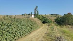 Süleymanpaşa Barbaros Köyü Resimleri 3