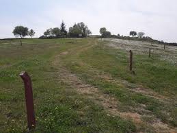 Süleymanpaşa Barbaros Köyü Resimleri 5