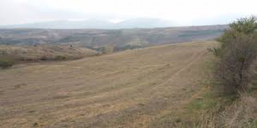 Süleymanpaşa Çanakçı Köyü Resimleri