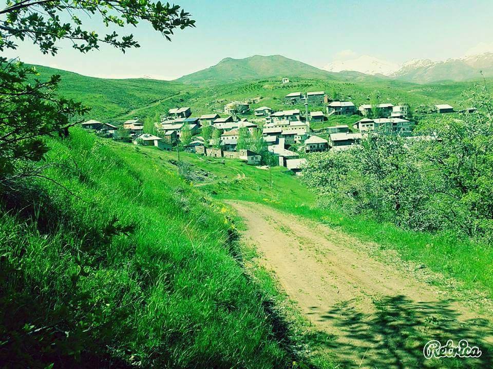 Pazaryolu Güneysu Köyü Resimleri 10