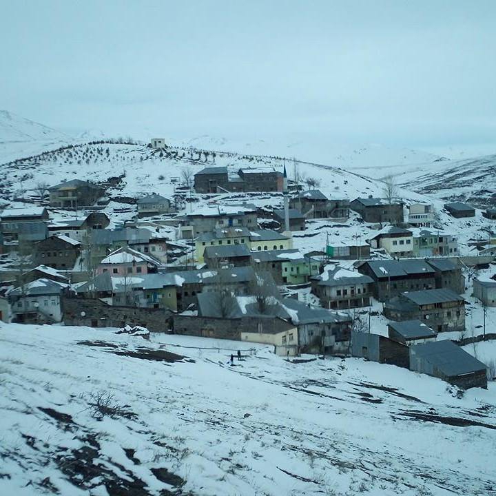 Pazaryolu Güneysu Köyü Resimleri 2