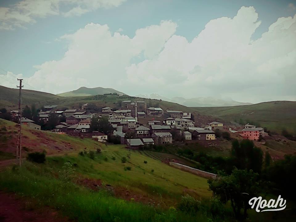 Pazaryolu Güneysu Köyü Resimleri 3