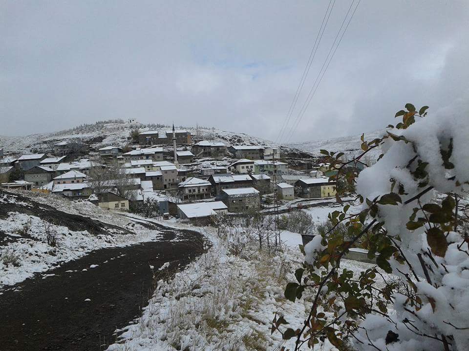 Pazaryolu Güneysu Köyü Resimleri 7