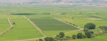 Süleymanpaşa Doğruk Köyü Resimleri 1