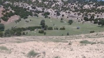 Selendi Çampınar Köyü Resimleri 2