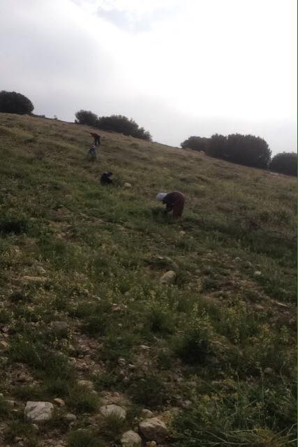 Selendi Çampınar Köyü Resimleri 6