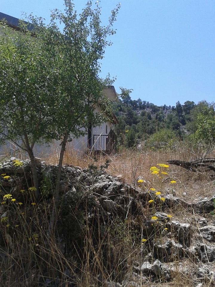 Antalya Akseki Bucakkışla Köyü Resimleri 17