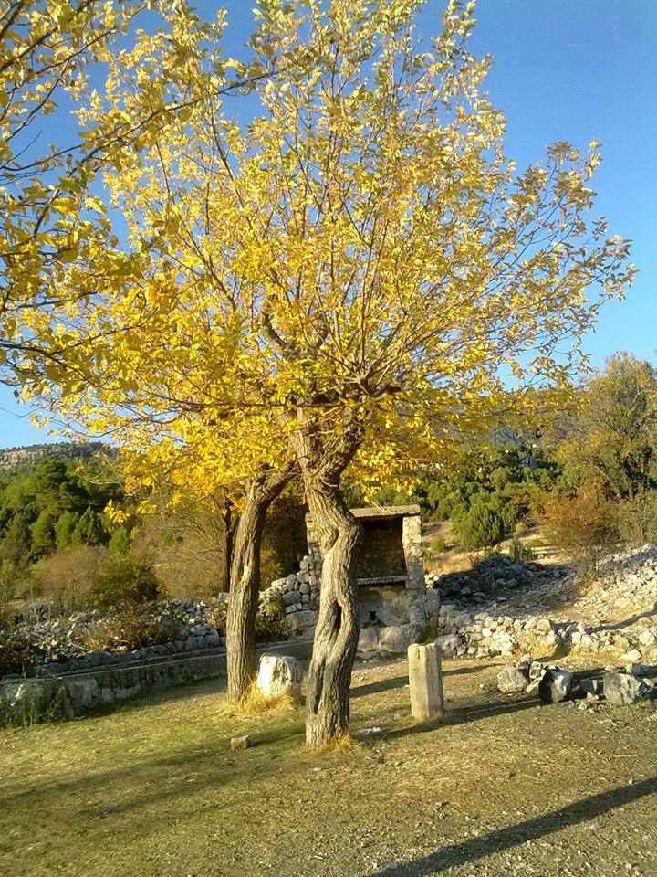 Antalya Akseki Bucakkışla Köyü Resimleri 29