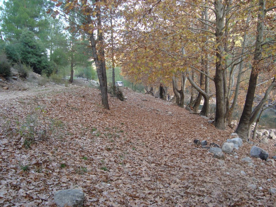 Antalya Akseki Bucakkışla Köyü Resimleri 43