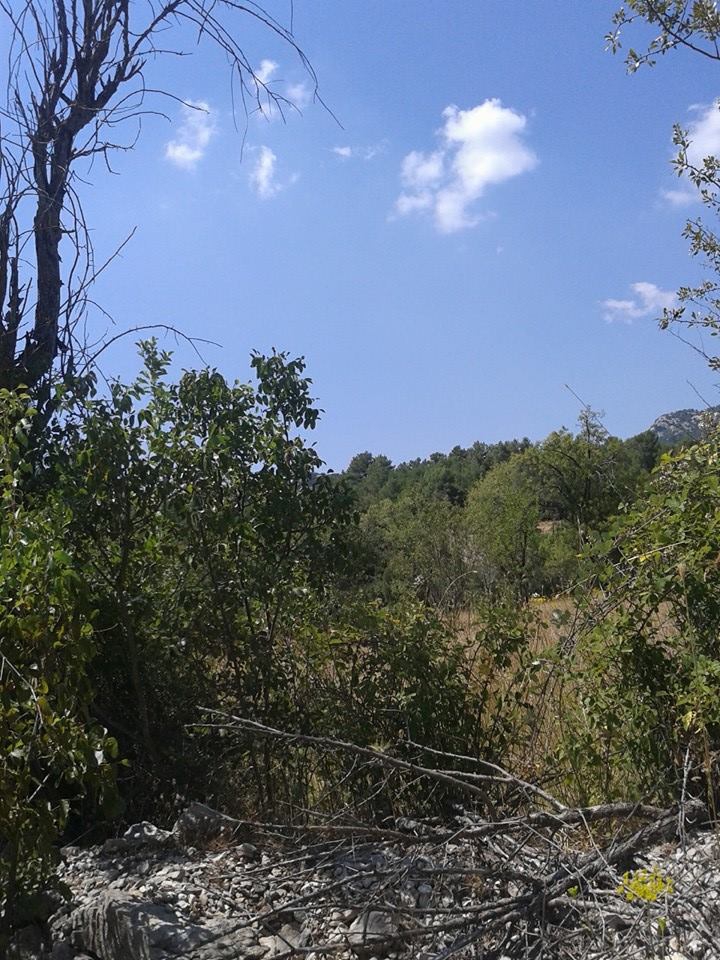 Antalya Akseki Bucakkışla Köyü Resimleri 6