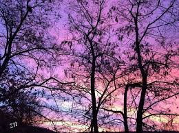 Süleymanpaşa Köyü Resimleri 1