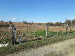 Süleymanpaşa Köyü Resimleri 2