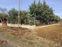 Süleymanpaşa Köyü Resimleri 6