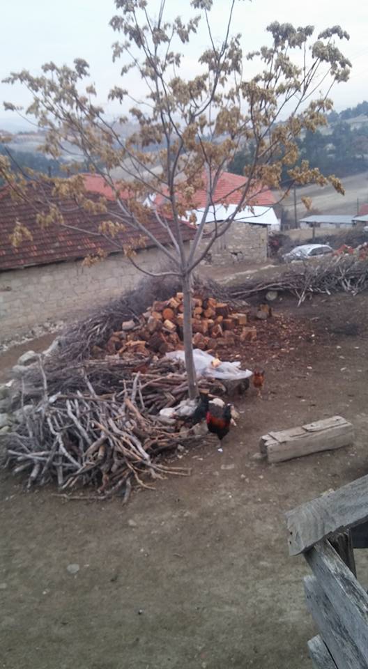 Selendi Çamyayla Köyü Resimleri 2