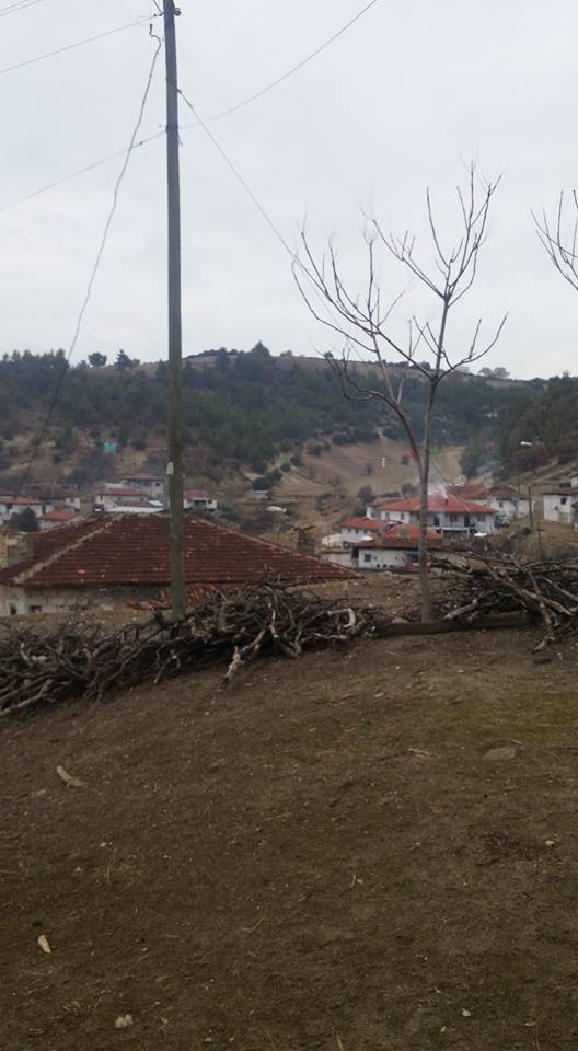 Selendi Çamyayla Köyü Resimleri 3