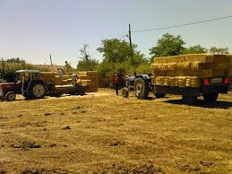 Süleymanpaşa Gündğzlü Köyü Resimleri 2