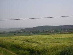 Süleymanpaşa Hacıköy Köyü Resimleri 1