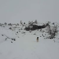 Selendi Çıkrıkçı Köyü Resimleri 17