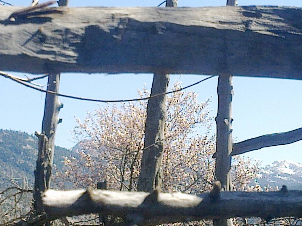 Antalya Akseki Ceceler Köyü Resimleri 19