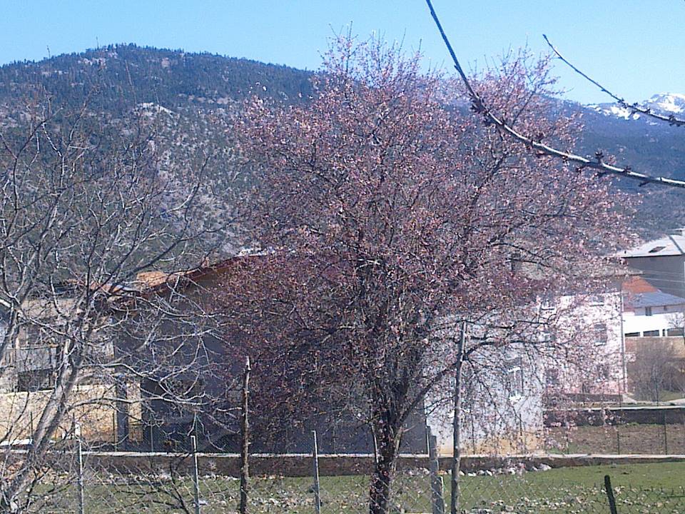 Antalya Akseki Ceceler Köyü Resimleri 20