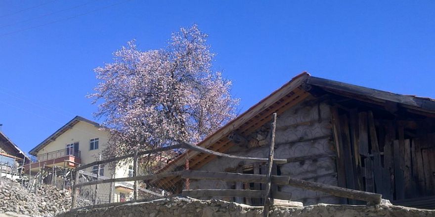 Antalya Akseki Ceceler Köyü Resimleri