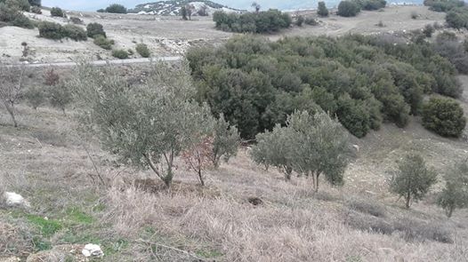 Selendi Çinan Köyü Resimleri 3