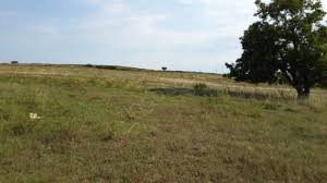 Süleymanpaşa Işıklar Köyü Resimleri 12