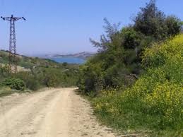 Süleymanpaşa Işıklar Köyü Resimleri 5