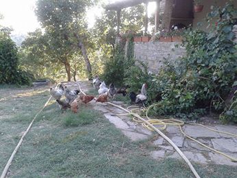 Selendi Çortak Köyü Resimleri 6