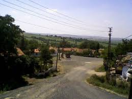 Süleymanpaşa Karaçalı Köyü Resimleri 1