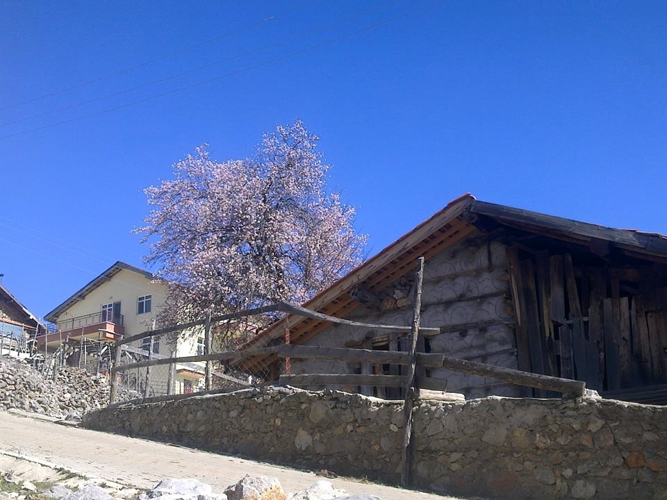 Antalya Akseki Ceceler Köyü Resimleri 17