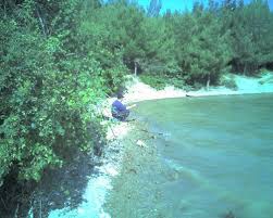 Süleymanpaşa Karahisarlı Köyü Resimleri 4