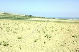 Süleymanpaşa Karansıllı Köyü Resimleri 1