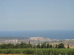 Süleymanpaşa Kayı Köyü Resimleri 2