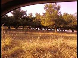 Süleymanpaşa Kayı Köyü Resimleri 7