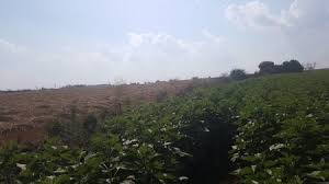 Süleymanpaşa Kayı Köyü Resimleri 8