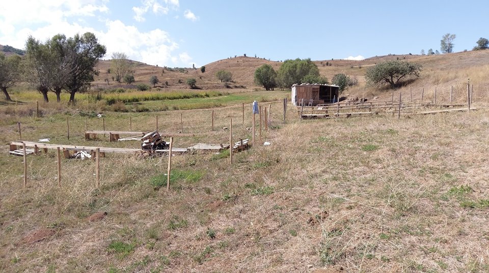 Pazaryolu Karakoç Köyü Resimleri 7