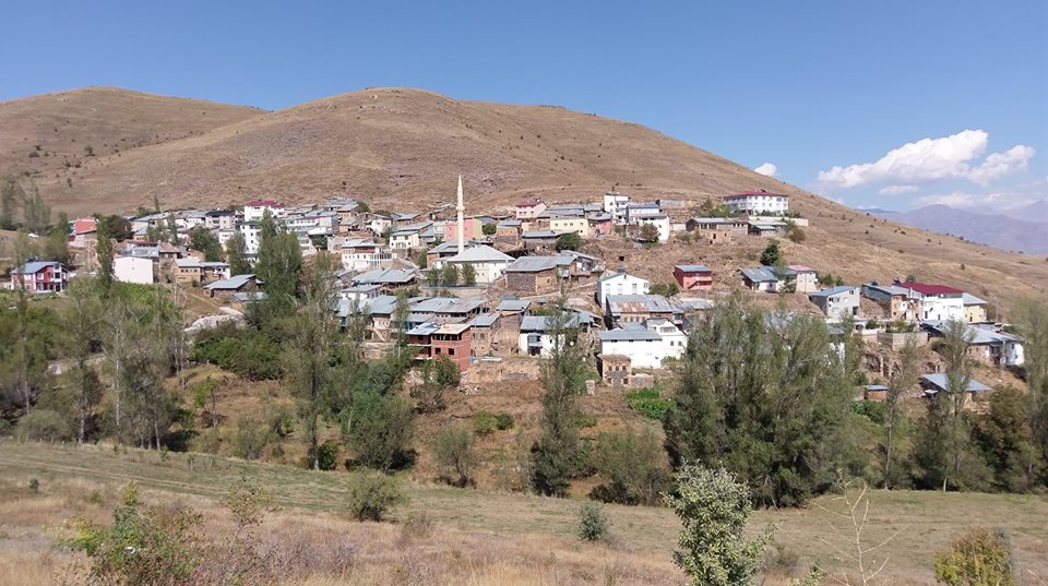 Pazaryolu Karakoç Köyü Resimleri 8