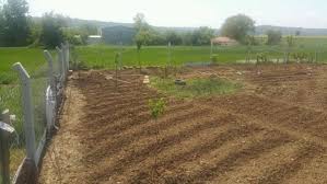 Süleymanpaşa Mahramlı Köyü Resimleri 7