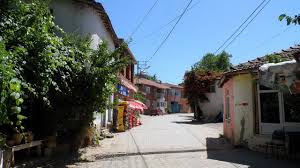 Süleymanpaşa Naipköy Köyü Resimleri 10