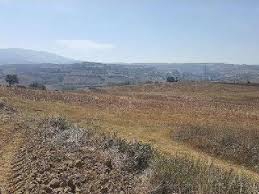 Süleymanpaşa Naipköy Köyü Resimleri 3