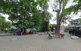 Süleymanpaşa Naipköy Köyü Resimleri 6