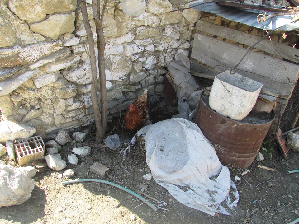 Selendi Dumanlar Köyü Resimleri 14