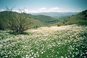 Pazaryolu Korkutköy Köyü Resimleri 3