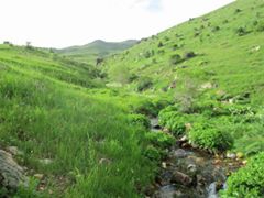 Pazaryolu Korkutköy Köyü Resimleri 6