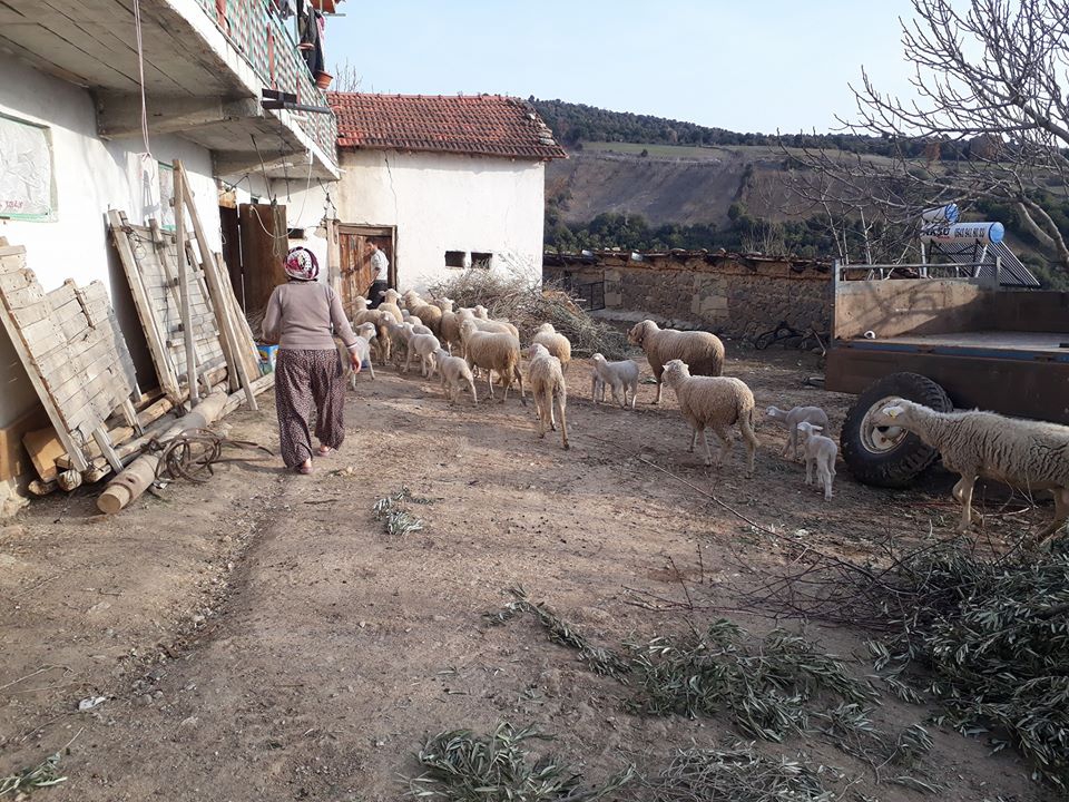 Selendi Eskin Köyü Resimleri 11