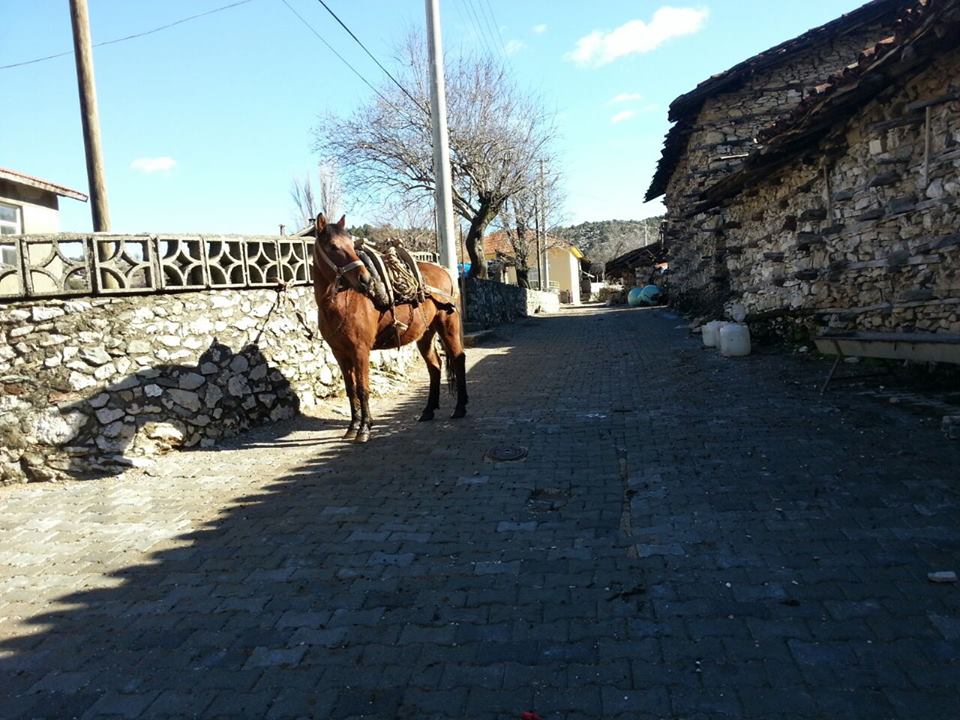Antalya Akseki Çanakpınar Köyü Resimleri 18